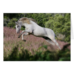 Chevaux d'imaginaire : Galop de ressort
