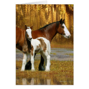 Chevaux d'imaginaire : Jument et poulain