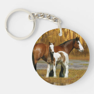 Chevaux d'imaginaire : Jument et poulain