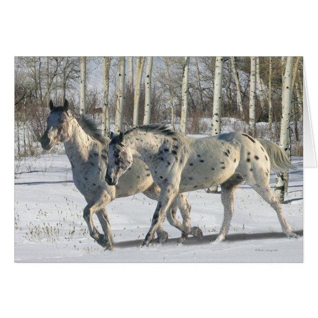 Chevaux d'imaginaire : Le pays des merveilles (Devant horizontal)