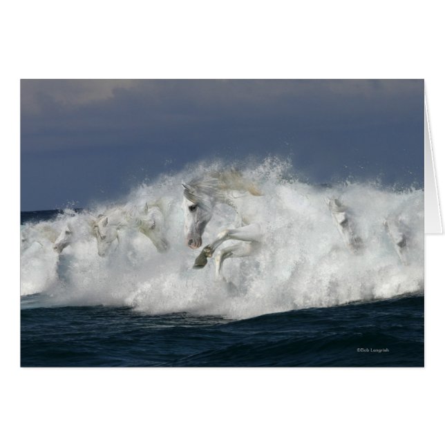 Chevaux d'Imaginaire : Mer (Devant horizontal)