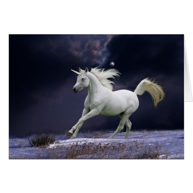 Chevaux d'Imaginaire : Unicorne (Devant horizontal)