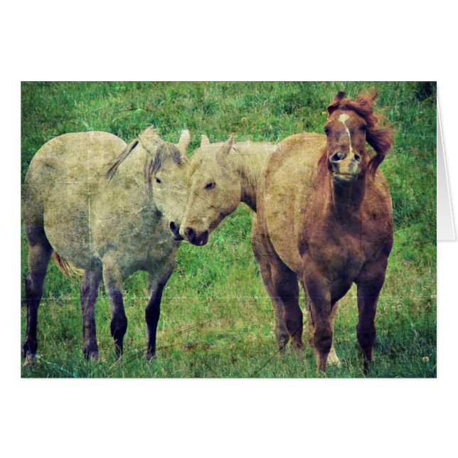 Chevaux drôle (Devant horizontal)