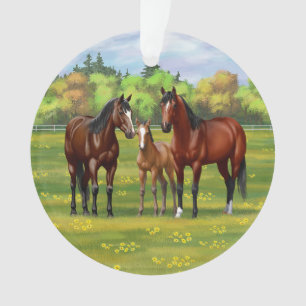 Chevaux Du Quartier De La Baie Brown Dans Les Pâtu
