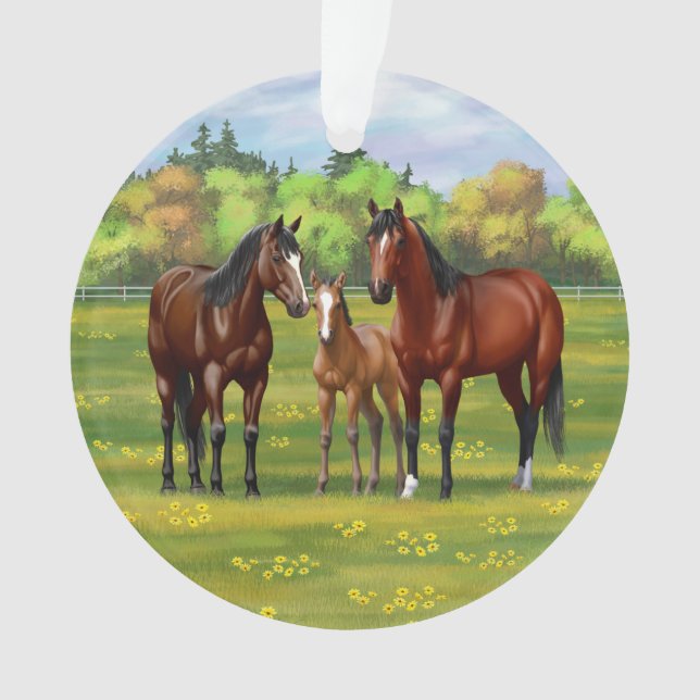 Chevaux Du Quartier De La Baie Brown Dans Les Pâtu (devant)
