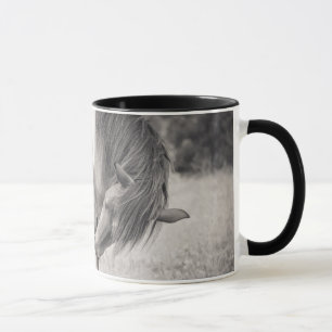 Chevaux embrassant la tasse