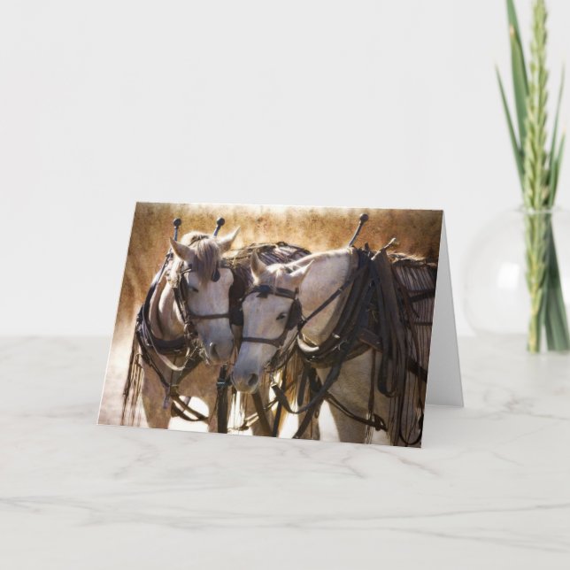 Chevaux en Harnais Carte de voeux (Devant)