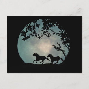 Chevaux en pleine lune Carte postale