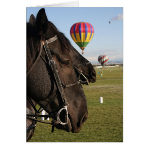 Chevaux et ballons