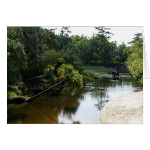 Chevaux et la rivière