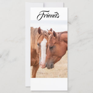 Chevaux étourdissant dans un pâturage carte place