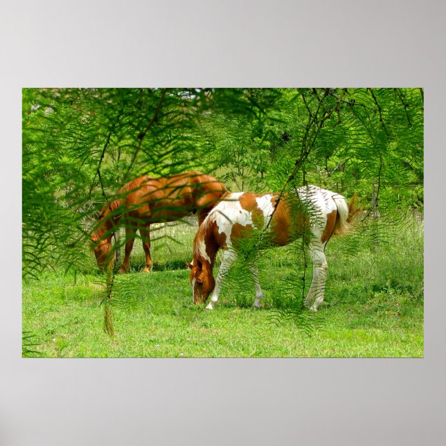 Chevaux Green Feuilles 11 x 85 Poster (Devant)