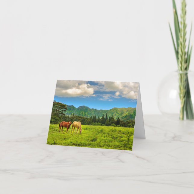 Chevaux hawaïens, Hokulei Peak, Kauai, Hawaii (Devant)