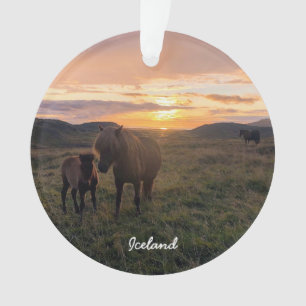 Chevaux islandais - ornement céramique