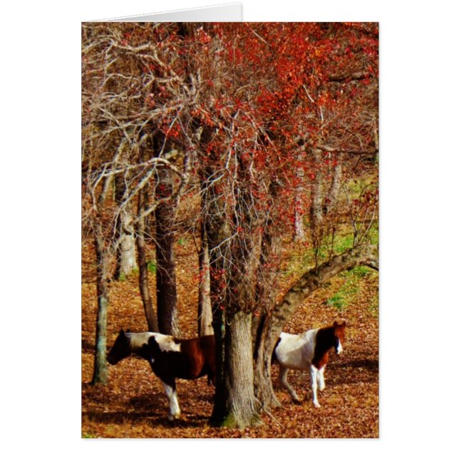 Chevaux jumeaux Brown et blancs (Devant)