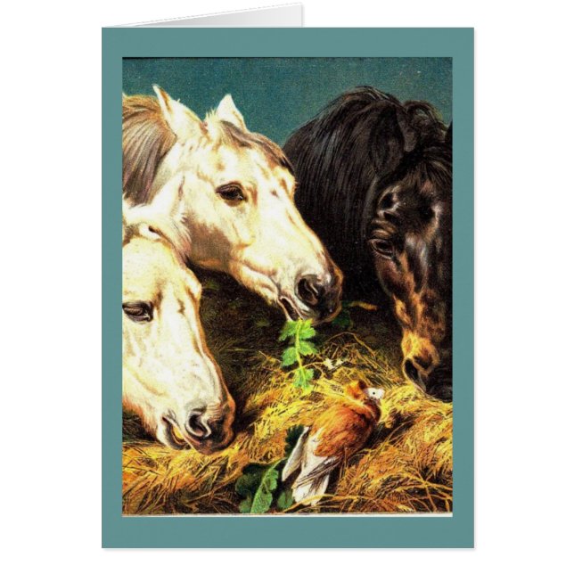 Chevaux mangeant le foin (Devant)