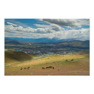 Chevaux Mustang Wild de Carson City, Nevada Photo
