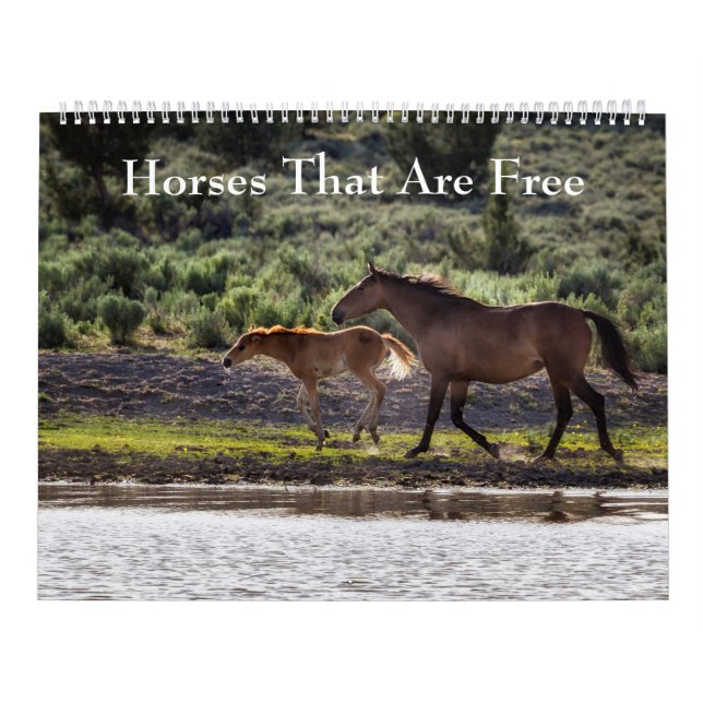 Chevaux Qui Sont Calendrier Gratuit (Protection)