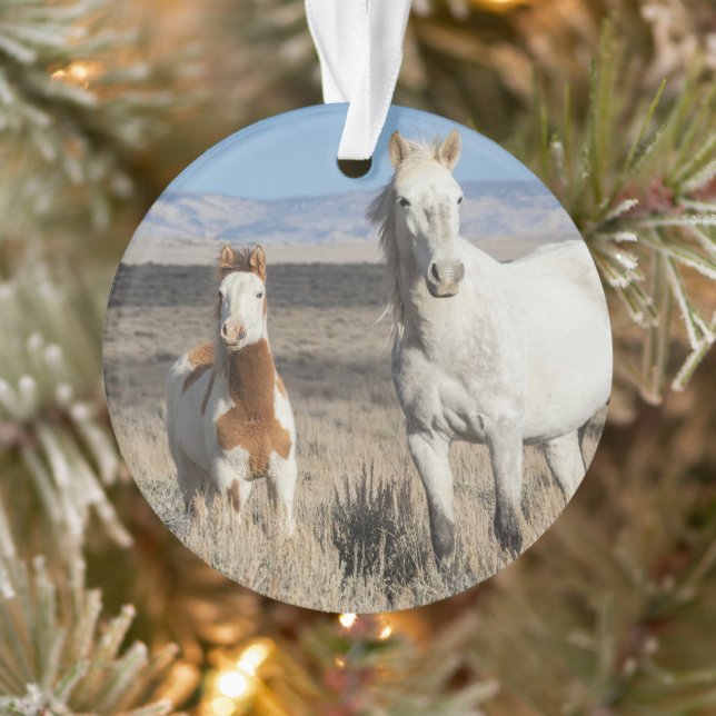 Chevaux sauvages chez eux dans le bassin de Sandwa (Arbre)