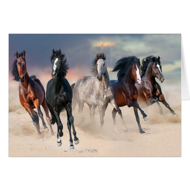 Chevaux Sauvages Courant Gratuitement (Devant Horizontal)