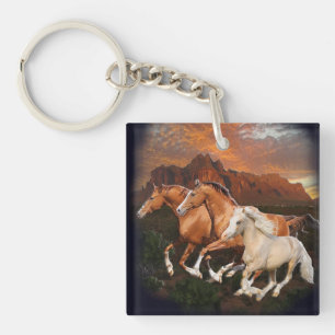 Chevaux sauvages d'Arizona