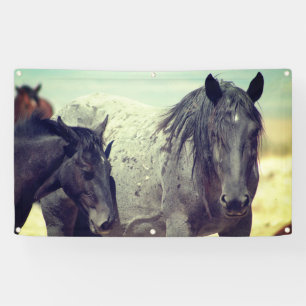 CHEVAUX SAUVAGES DE BANNIÈRE GRIS UTAH ONAQUI