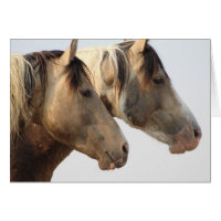 CHEVAUX SAUVAGES DE CARTE POUR NOTES DE TROUPEAU