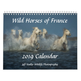 Chevaux sauvages de la France - calendrier mural