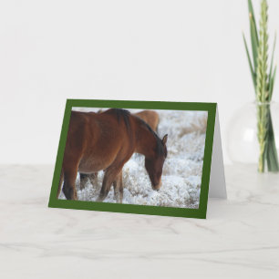 CHEVAUX SAUVAGES DE L'UTAH DANS LA CARTE DE SALUT 