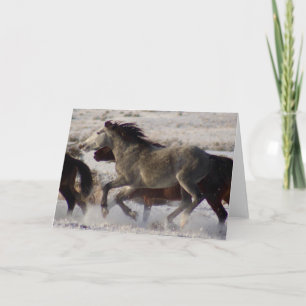 CHEVAUX SAUVAGES DE L'UTAH ONAQUI DÉSERT LA CARTE 