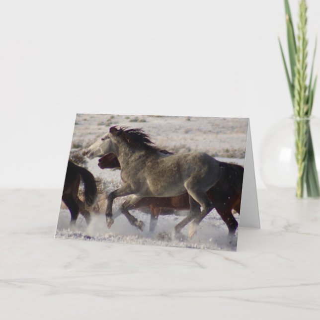 CHEVAUX SAUVAGES DE L'UTAH ONAQUI DÉSERT LA CARTE  (Devant)