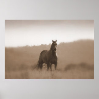 Chevaux sauvages... Grand Poster de base