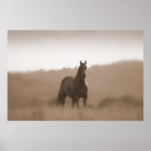 Chevaux sauvages... Grand Poster de base (Devant)