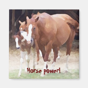 Chevaux-vapeur ! Aimant