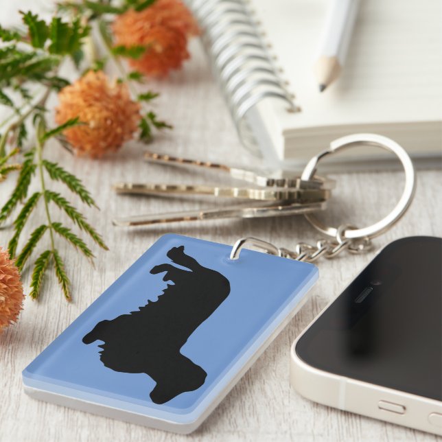Cheveux longs Dachshund - Silhouette 1 (Devant droit)