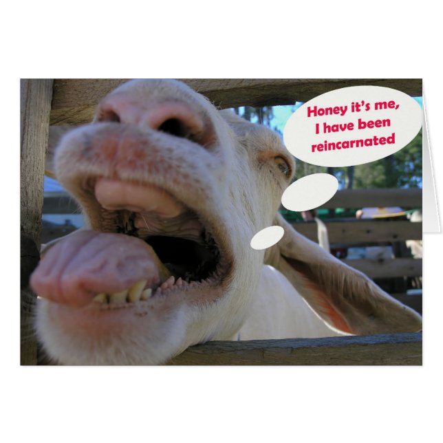 Chèvre de baie d'aubépine de Yee - cartes (Devant horizontal)