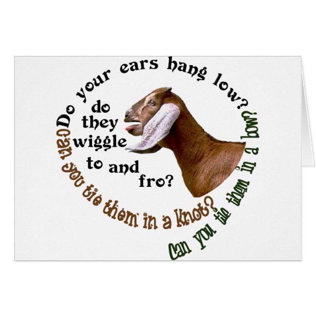 CHÈVRE DE NUBIAN - VOS OREILLES ACCROCHENT-ELLES (Devant horizontal)