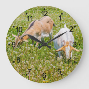 Chèvres Animaux de ferme Grosse horloge