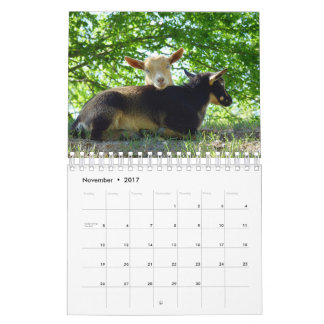 Chèvres sur le calendrier de ferme de K-N-S