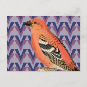 Chevron and Vintage Pink Bird Postkarte