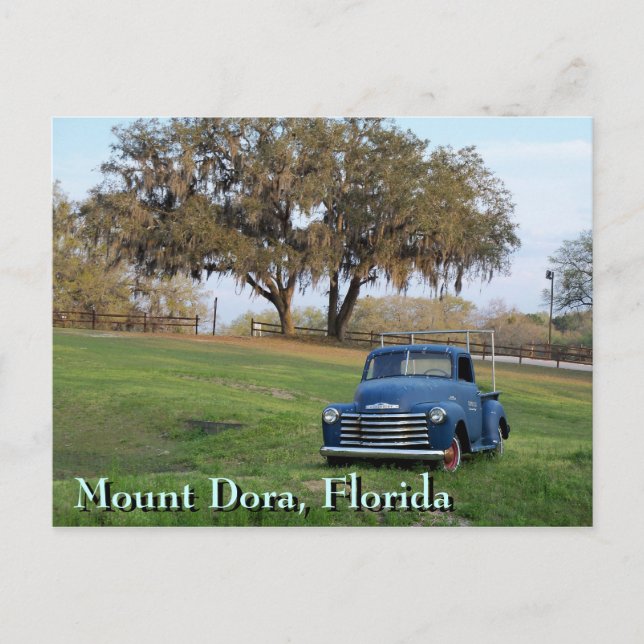Chevy Lieferwagen Truck Mount Dora, Florida Countr Postkarte (Vorderseite)