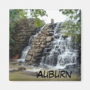 Chewacla Staat Park Auburn Foto Magnet