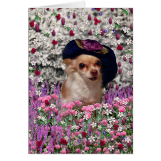 Chi Chi in Blume - Chihuahua Puppy in Niedlich Hat