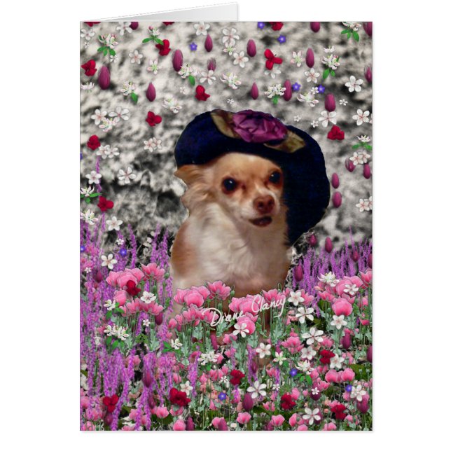 Chi Chi in Blume - Chihuahua Puppy in Niedlich Hat (Vorne)