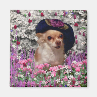 Chi Chi in Blume - Chihuahua Puppy in Niedlich Hat Magnet