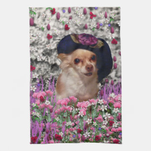 Chi-Chi in den Blumen - Chihuahua-Welpe im Handtuch