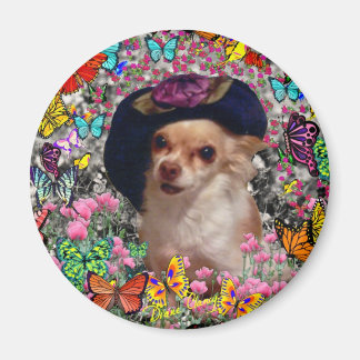 Chi Chi in Schmetterlingen - Chihuahua Magnet