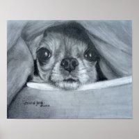 Chi Cuddle Time