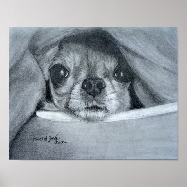 Chi Cuddle Time Poster (Vorne)