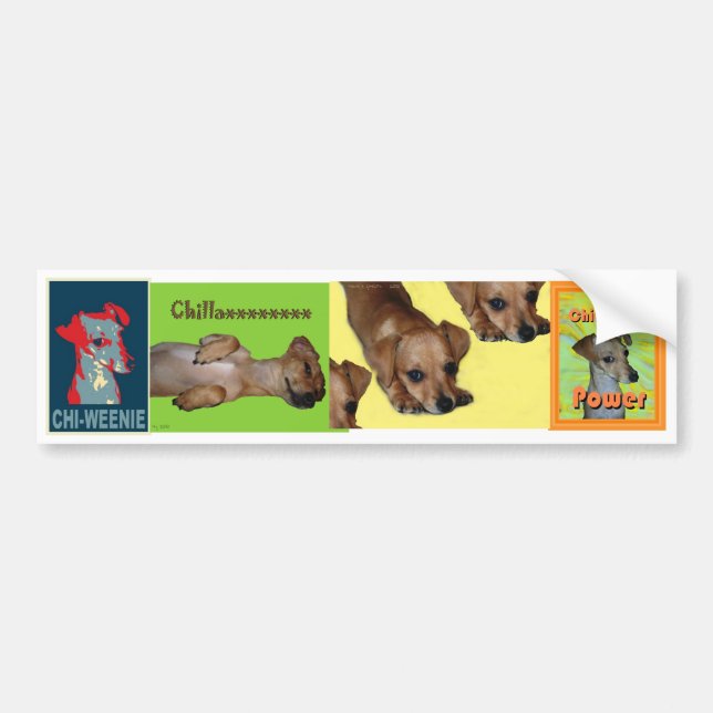 Chi-Würstchen Autoaufkleber (Vorne)